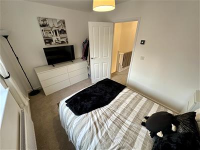 Picture 12